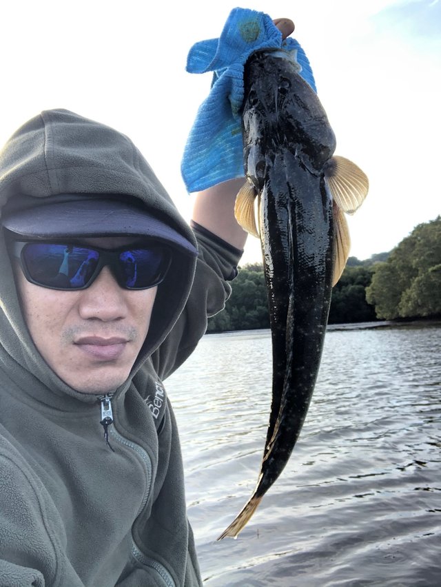 flathead fish