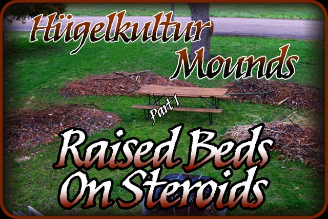 hügelkultur mounds-raised beds on steroids~ part-1