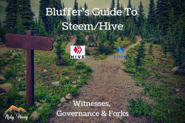 bluffer's guide to steem/hive   witnesses