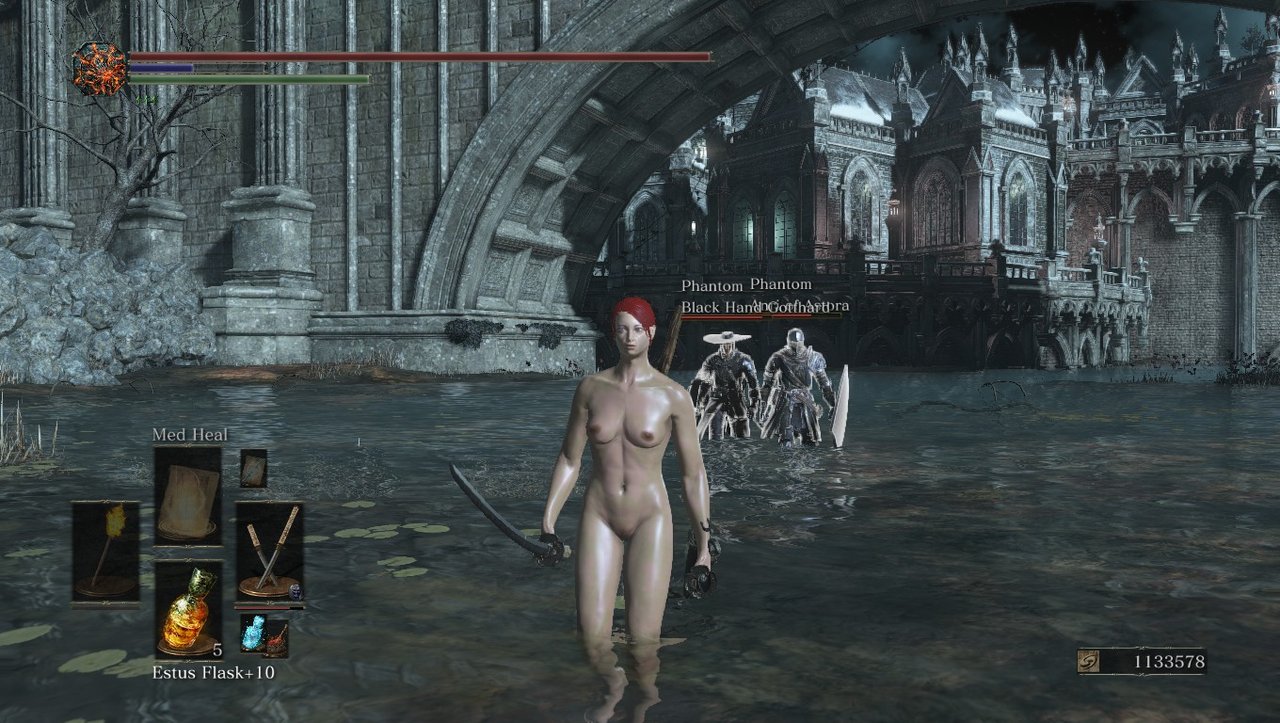 Dark Souls 3 Nude Mod - Roxy in the water, accompanied by her phantoms |  PeakD