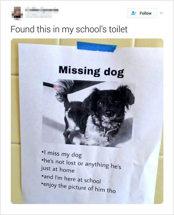http://www.dailyhaha.com/_pics/a-missing-dog.jpg