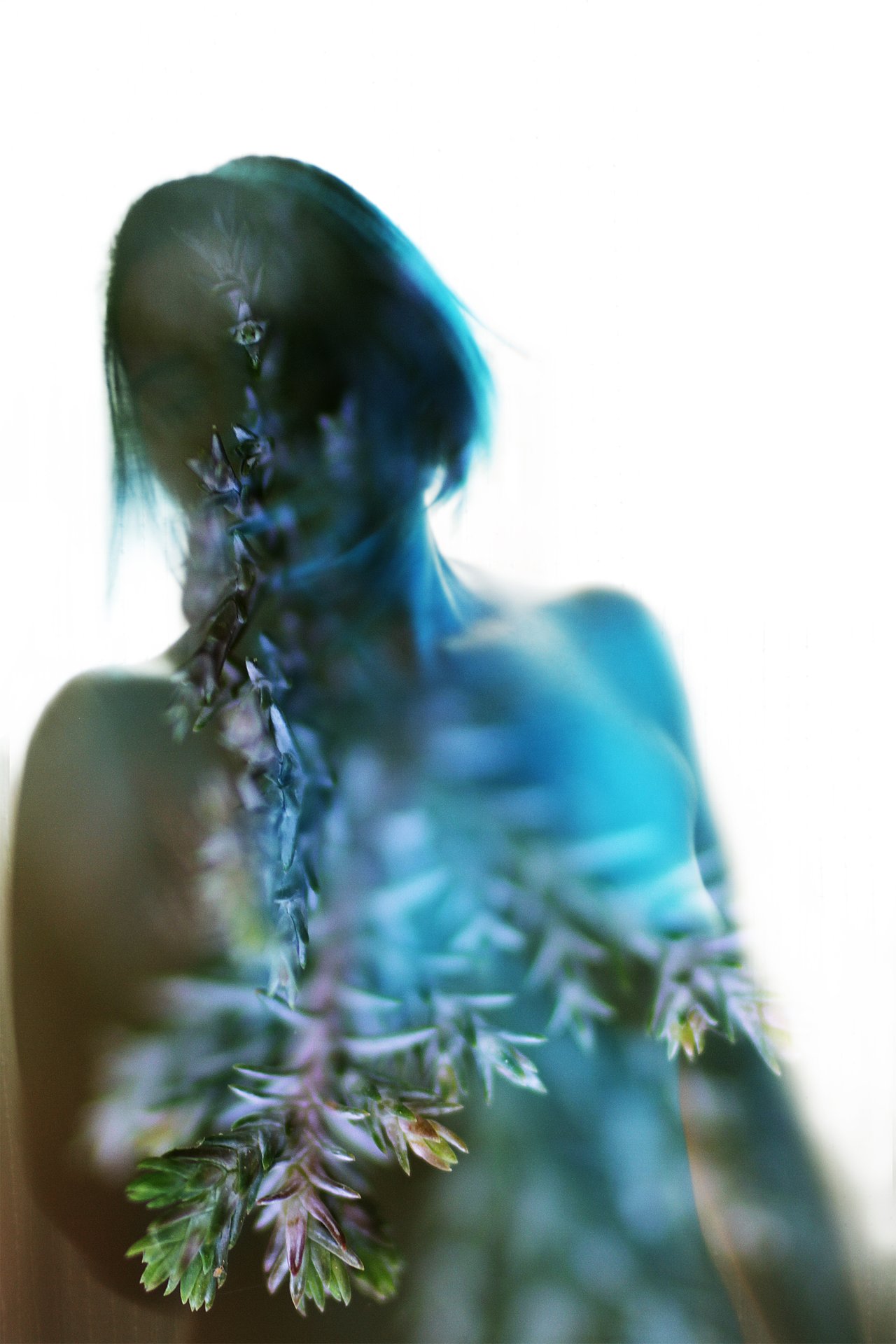 Dryad - photez4earth
