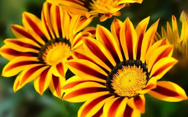 https://bipbap.ru/wp-content/uploads/2017/10/0_8eb56_842bba74_XL-640x400.jpg