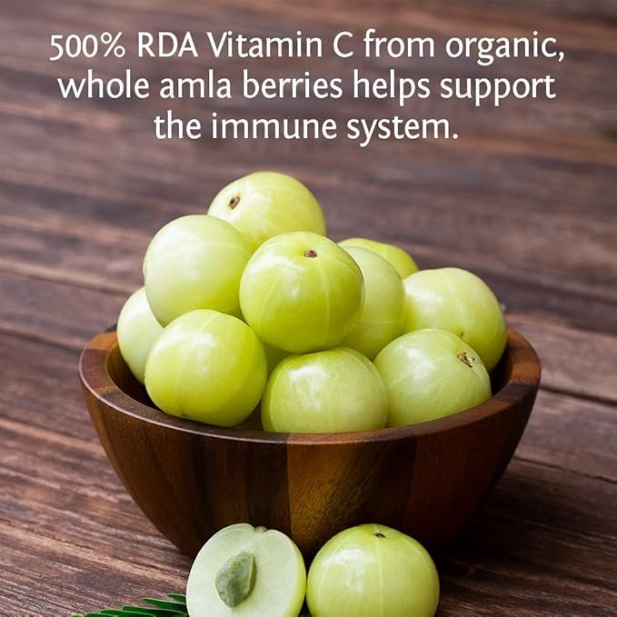 3 Sunwarrior Organic Vitamin C | Vitamin Supplement for Natural Vitamin C Sugar Free | Vitamin C Capsule 60ct (30 Servings) Be Well Line