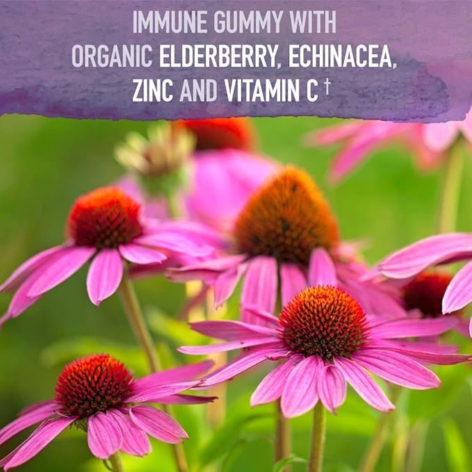 2 Garden of Life Organics Elderberry Gummies for Adults & Kids - Immune Support Supplement with Organic Fruit, Herbal Blend, Elderberry, Echinacea, Zinc, Vitamin C, 120 Vegan Gluten Free Gummies