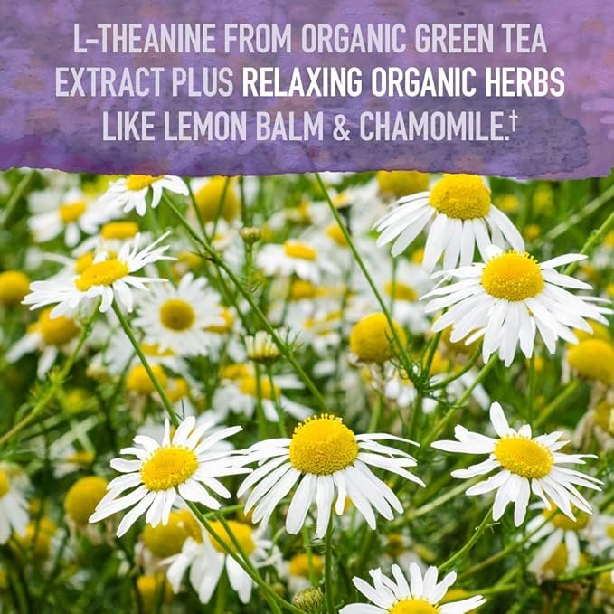 3 Garden of Life Organics Sleep Well R&R Spray (58 mL) Liquid - Relax & Rest, Green Tea Extract L-Theanine, Chamomile, Lemon Balm - Non-GMO Vegan & Gluten Free Herbal Supplements, 2 Fl Oz