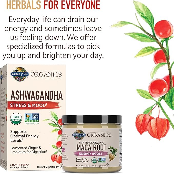 6 Garden of Life Organics Fair Trade Gelatinized Peruvian Maca Root Energy Boost 7.93 oz (225g) Powder with Probiotics, Certified Organic, Non-GMO, Vegan & Gluten Free Herbal Supplements