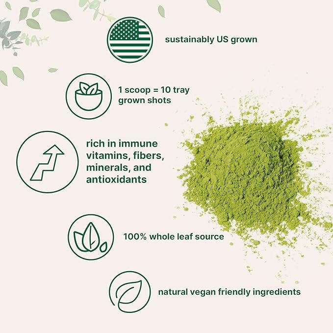 2 Micro Ingredients Sustainably US Grown, Organic Wheat Grass Powder (100% Whole-Leaf), 16 Ounce, Rich in Immune Vitamins, Fibers and Minerals, Support Digestion Function, Vegan Friendly