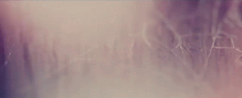 https://c.tenor.com/iXa4UmvDmgUAAAAC/introduction-trilogy.gif