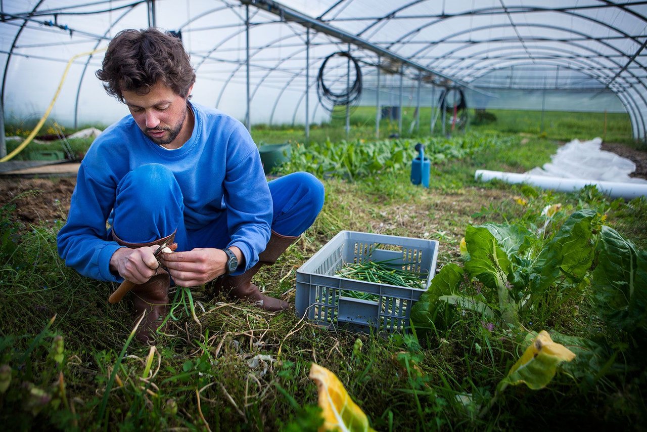 https://cdn.britannica.com/70/241770-050-B50984F5/organic-farmer-working-community-based-farm-greenhouse-france.jpg
