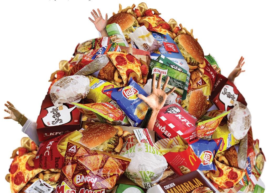 https://cdn.downtoearth.org.in/library/large/2019-12-13/0.42202300_1576241707_24-46cover-story_junkfood_final-9.jpg