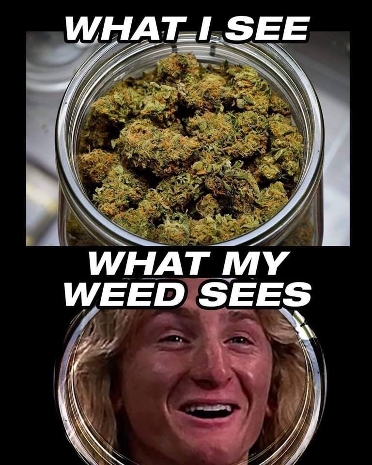 weed memes