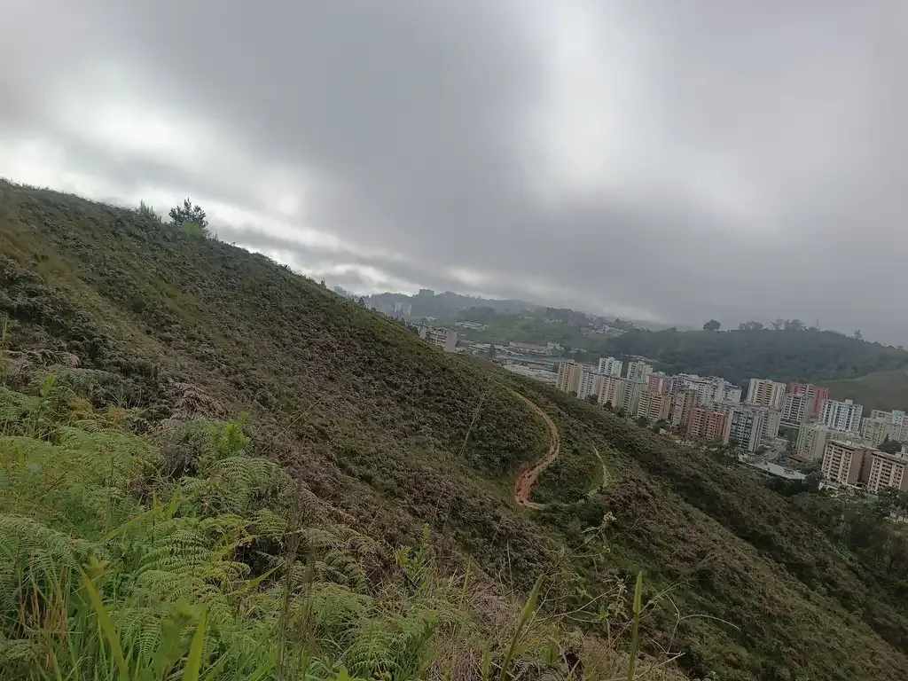 1003584730-c8f597c94343.webp