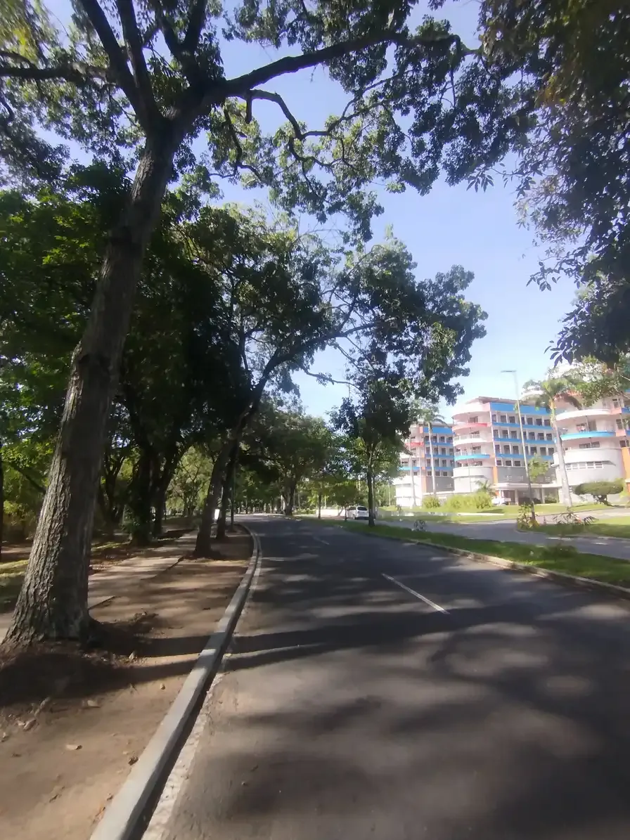 1001248929-7380efa34687.webp