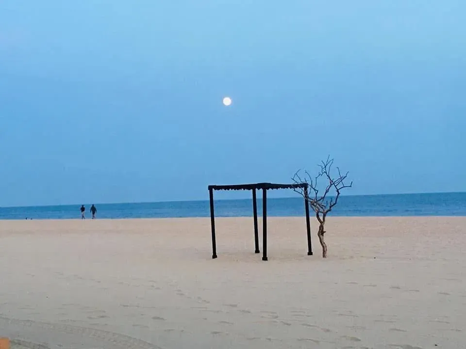https://cdn.liketu.com/media/ardrew30/images/xWrJ3D00xBxNVxdI_IMG_6805/xWrJ3D00xBxNVxdI_IMG_6805.webp
