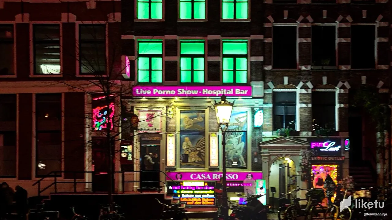 Christmas Lights in Amsterdam | Walking Distance | PeakD