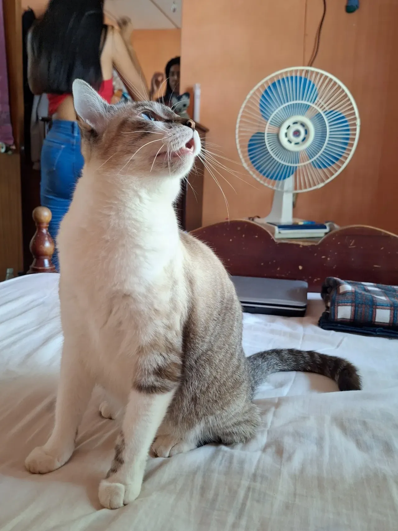 Linda en modo cacería