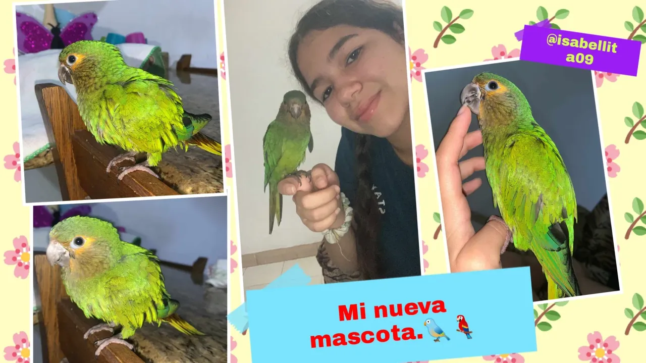 https://cdn.liketu.com/media/isabellita9/images/kQho7TOQH7OlkQia_GridArt_20250705_010533606/kQho7TOQH7OlkQia_GridArt_20250705_010533606.webp