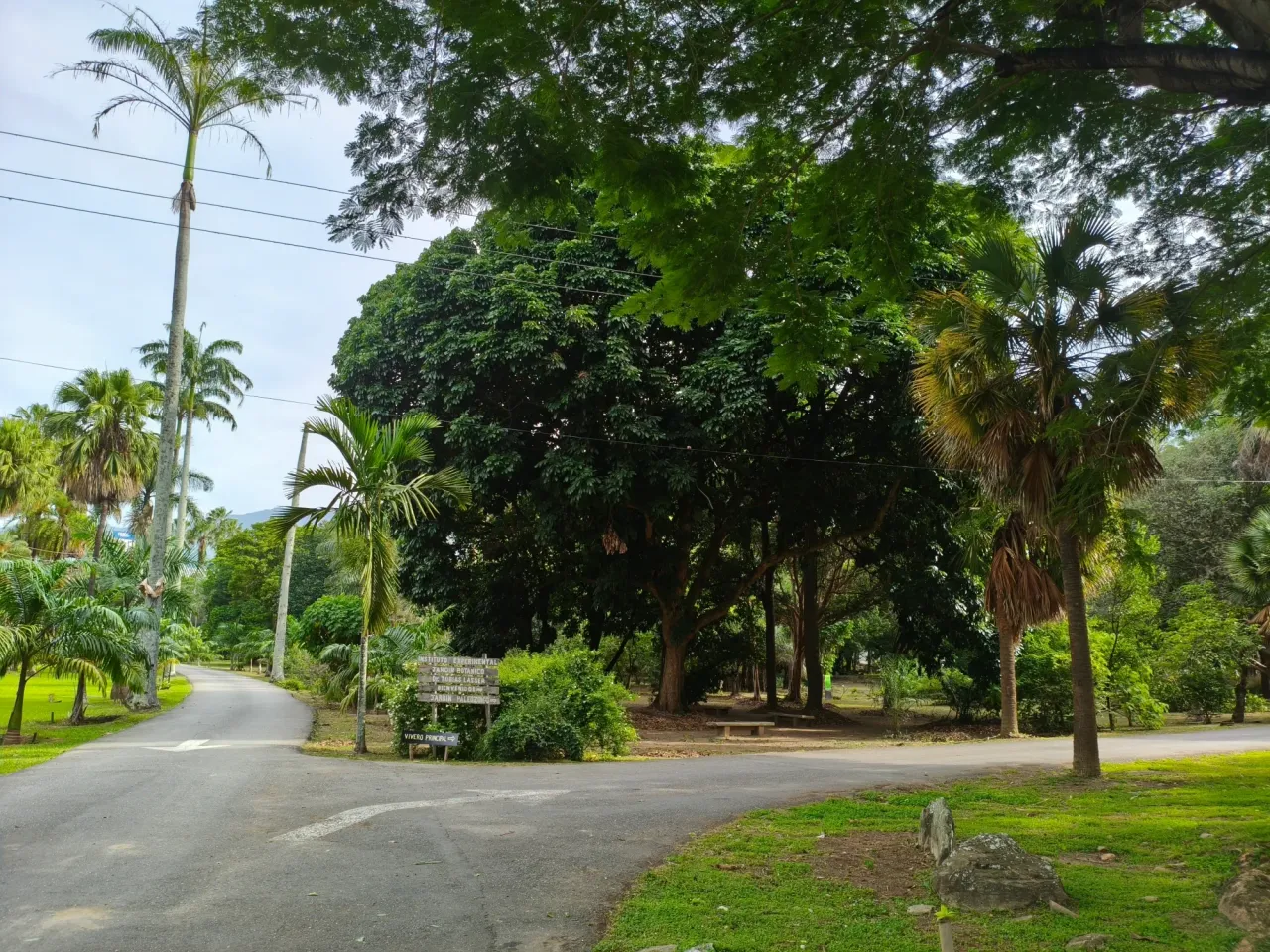 Una Jornada en el Jardin de Caracas/  A Day in the Caracas Garden