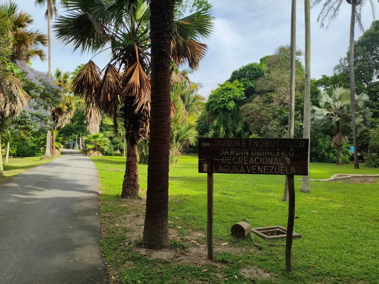 Una Jornada en el Jardin de Caracas/  A Day in the Caracas Garden