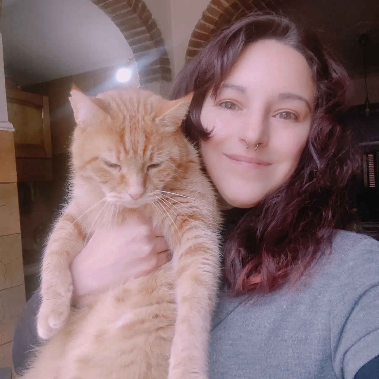 Goodnight thoughts and a cute cat/ Pensamientos de buenas noches y un lindo gato.💖
