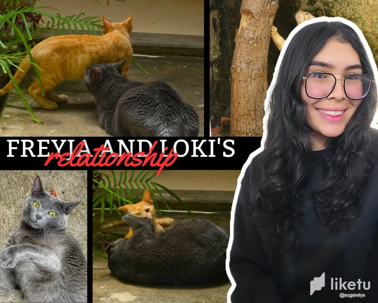 ¡La relación de Loki y Freyja hasta ahora!🐈‍⬛😸[ESP/ENG]