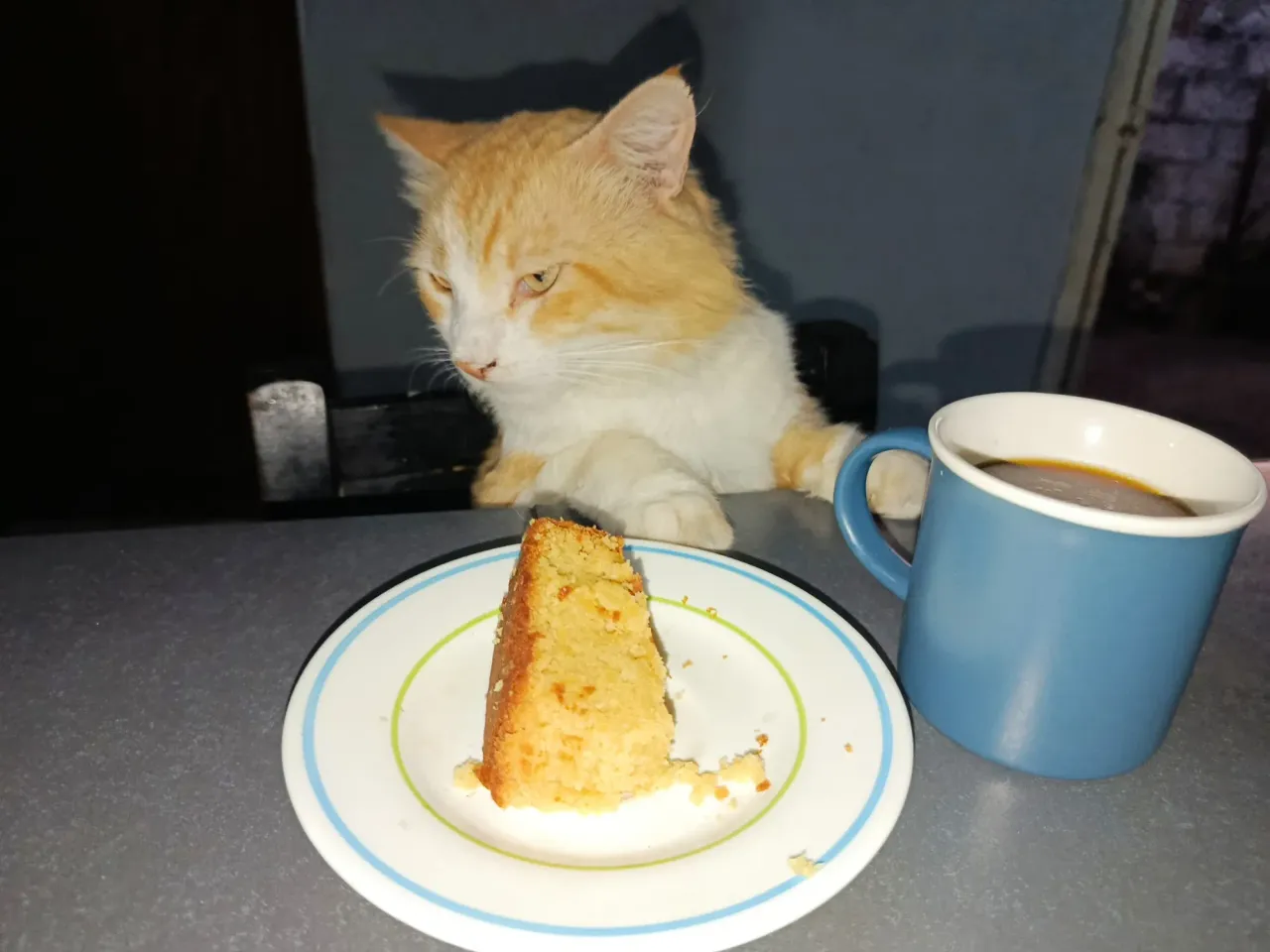 Tarde de café y pastel ☕🍰Coffee and cake afternoon 