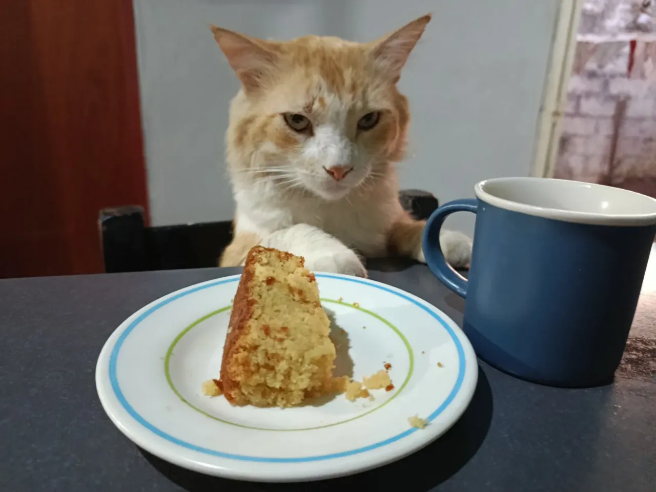 Tarde de café y pastel ☕🍰Coffee and cake afternoon 