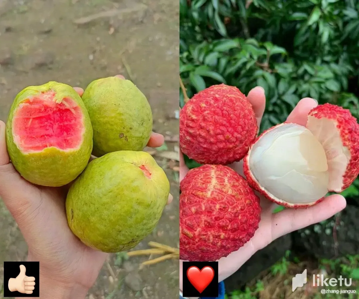 https://cdn.liketu.com/media/zhang-jianguo/images/AkH5H0ghB4WASXP7_4fbe8ca3-9b24-4546-aad1-f42eec204263/AkH5H0ghB4WASXP7_4fbe8ca3-9b24-4546-aad1-f42eec204263.webp