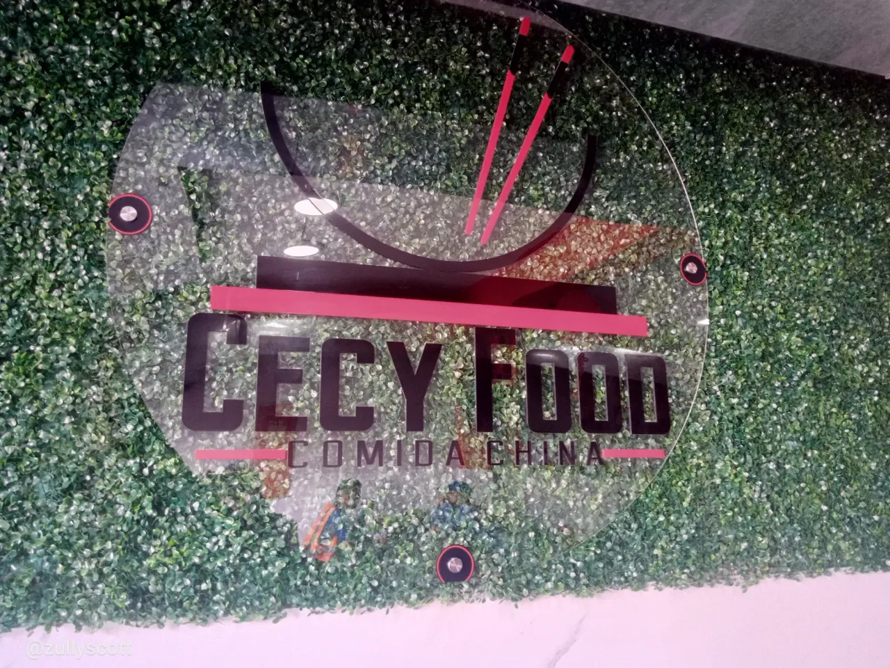 Conociendo restaurantes chinos. Turno de "CECY FOOD"  🍚🍜