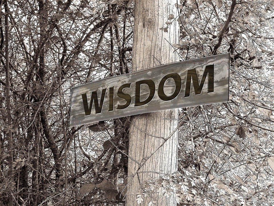 https://cdn.pixabay.com/photo/2013/12/16/02/59/directory-229117_960_720.jpg
