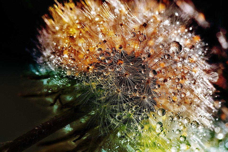 Nature as inspiration