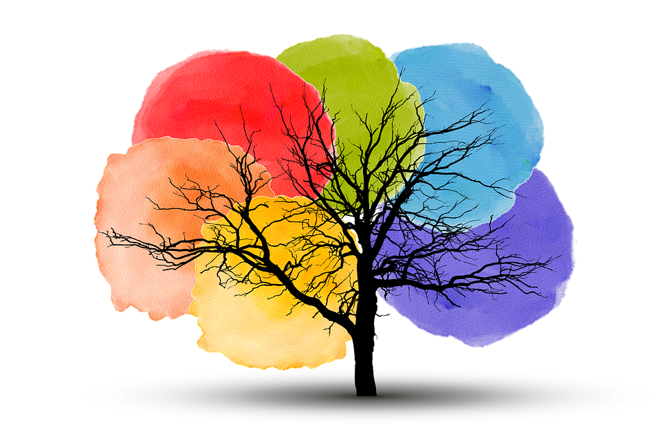https://cdn.pixabay.com/photo/2022/06/16/07/40/pride-7265278_960_720.png
