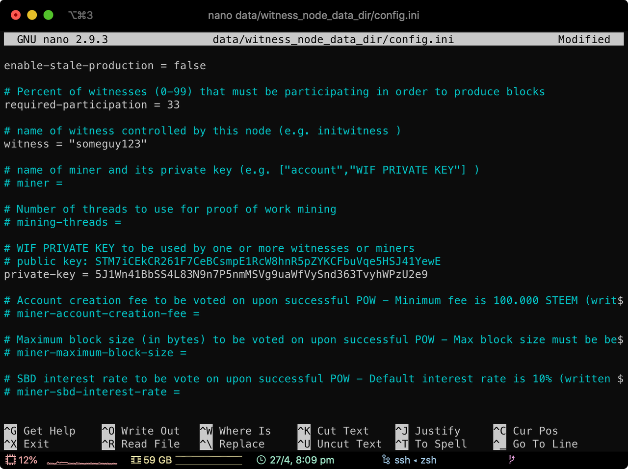 Screenshot of witness config.ini