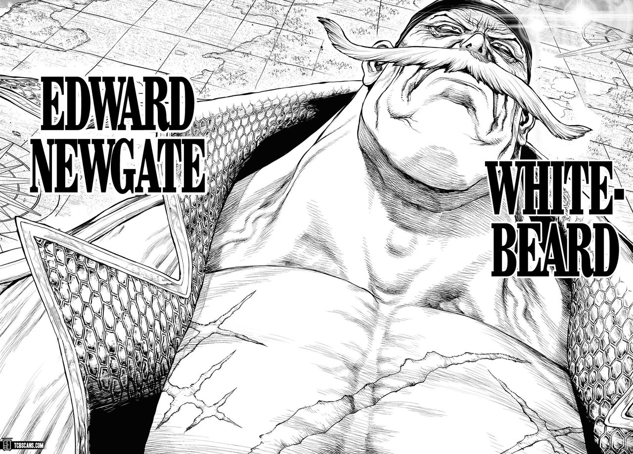 Manga Review One Piece Ace Story 2 The Devil S Child Peakd