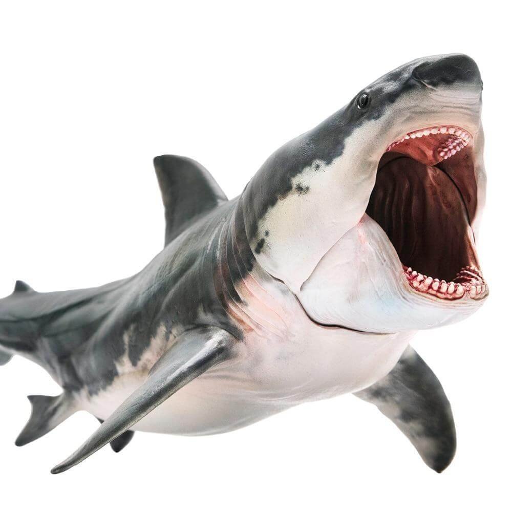 Megalodon 2025 movie toys