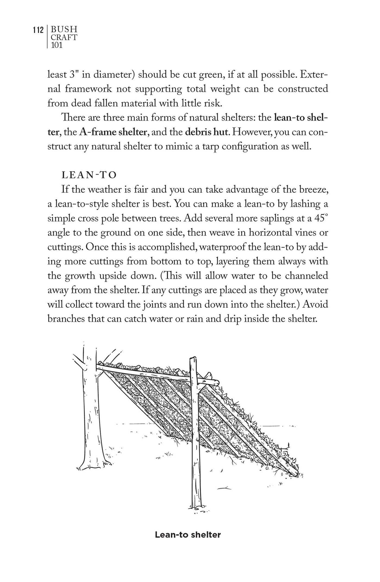5 Bushcraft 101: A Field Guide to the Art of Wilderness Survival