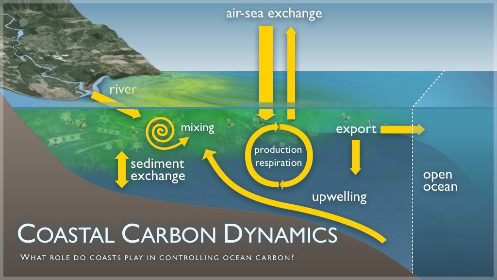 environment pollution oceans co2