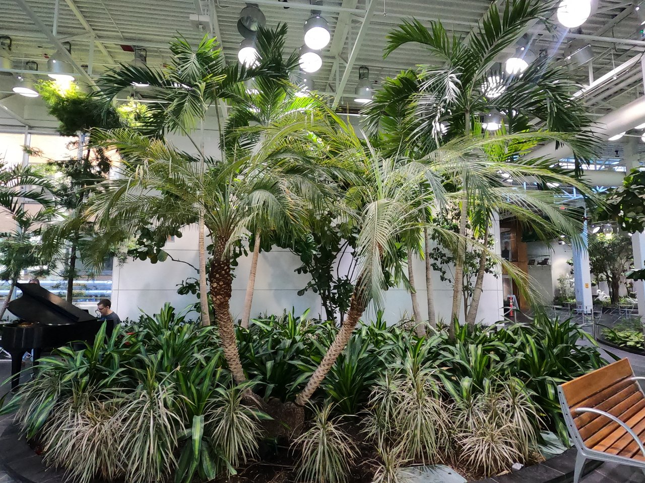 GOPR0405.JPG