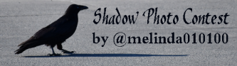 shadow photo contest