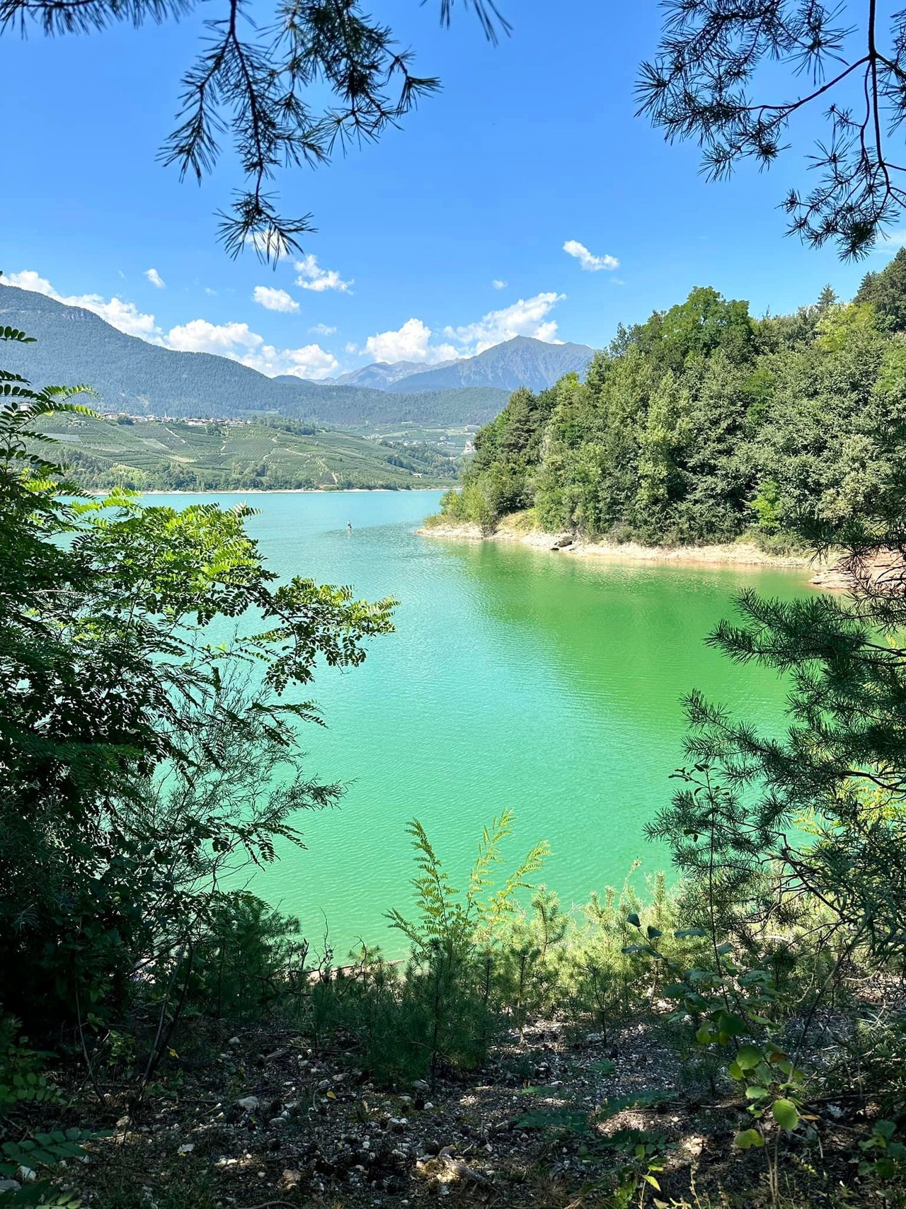 Lake Santa Giustina - The big dam in the valley of canyons - Nature - Lakes