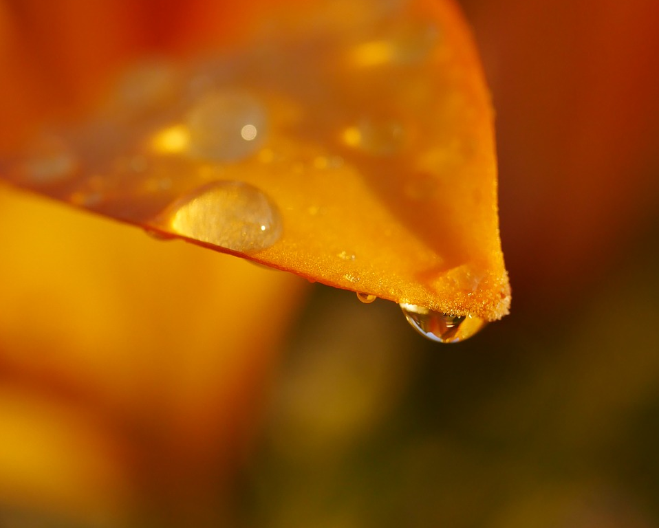 Setting A Vivid Life Frame Peakd Setting A Vivid Life Frame Peakd
