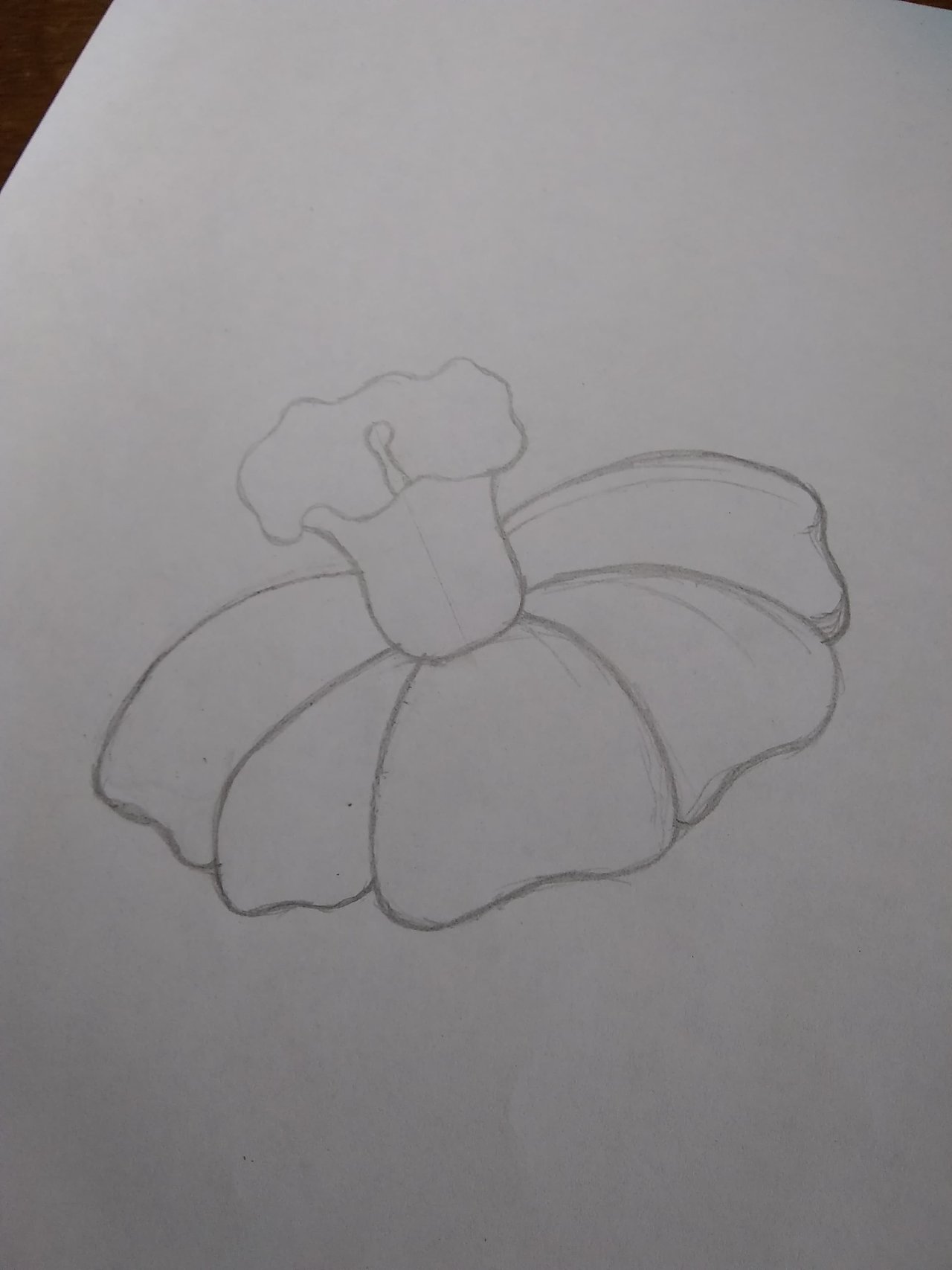 Dibujo de una flor a lapiz | PeakD Dibujo de una flor a lapiz | PeakD