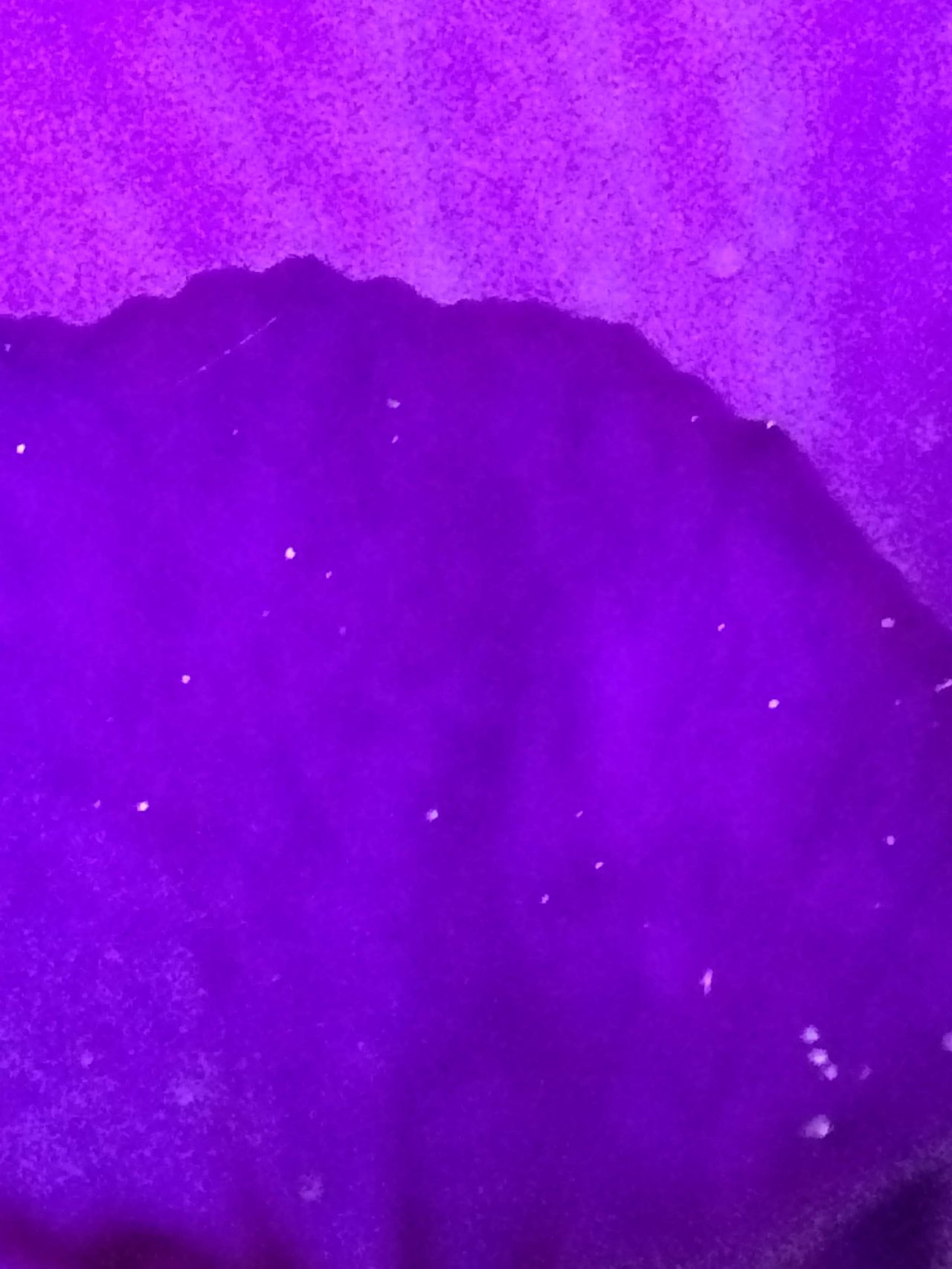PurpleTwoTone.JPG