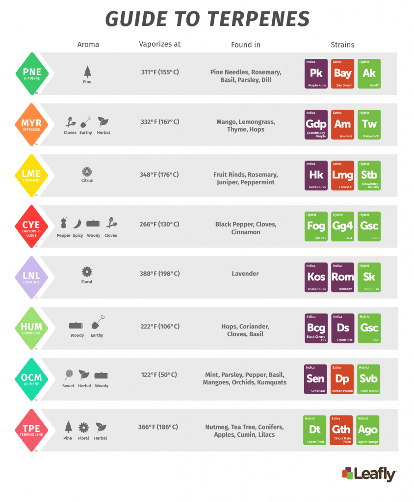 https://cdn.steemitimages.com/DQmPVGNkbHeGadSb7mBuRG3PVL31SCMKtZAzk6Wv8Q8bnNK/Terpene-Chart-copy-2-844x1024.png