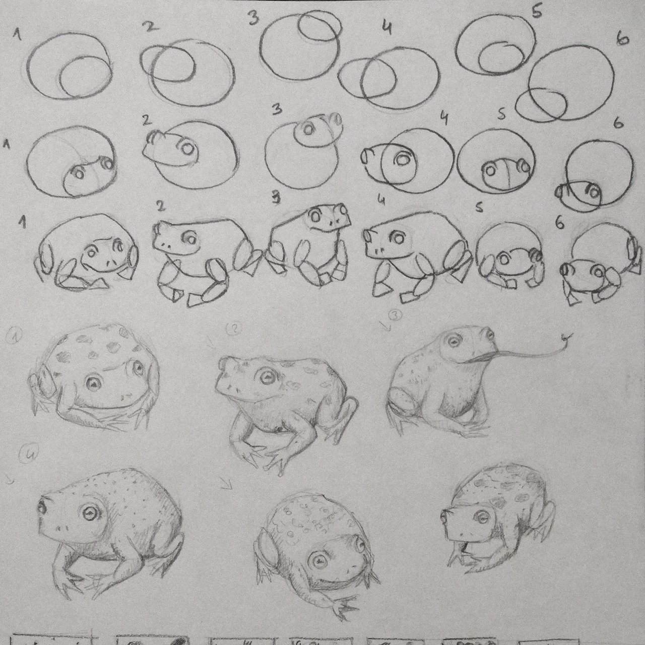 toad drawing