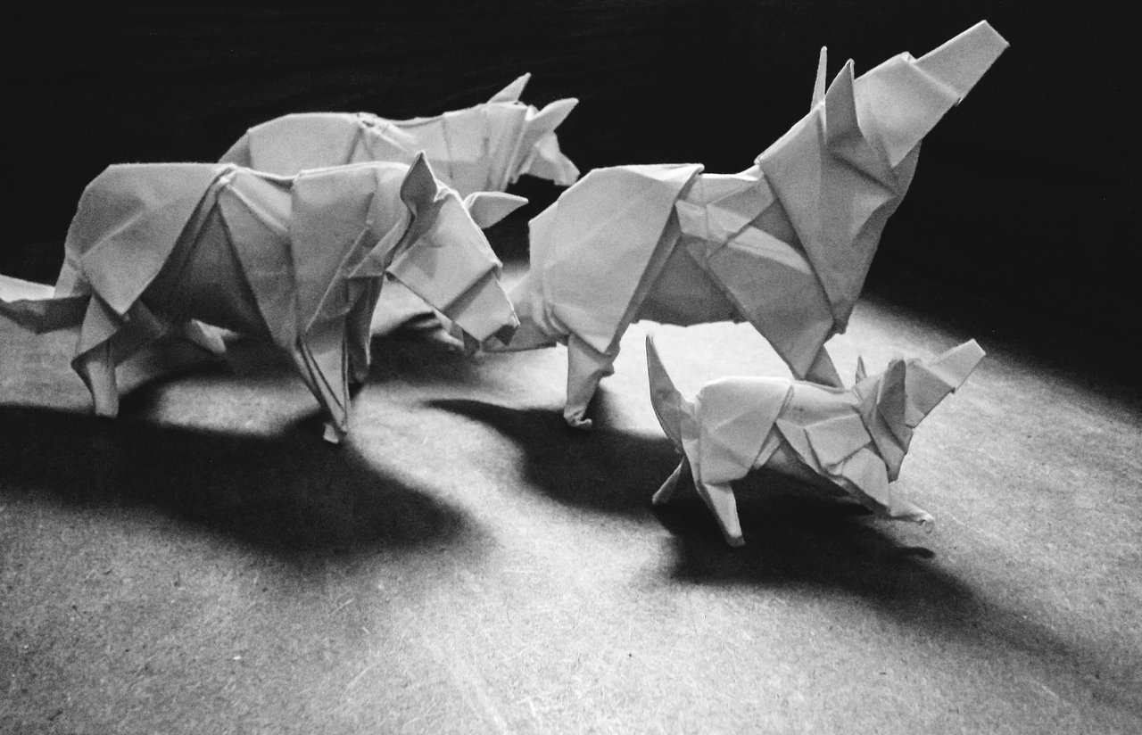 Lobos de Origami | Origami Wolves (折り紙) | PeakD