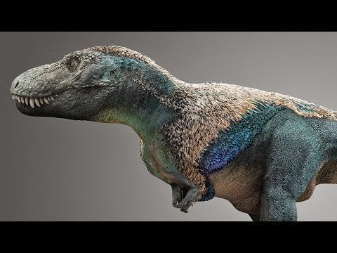 Dinosaurios: mitos y realidades