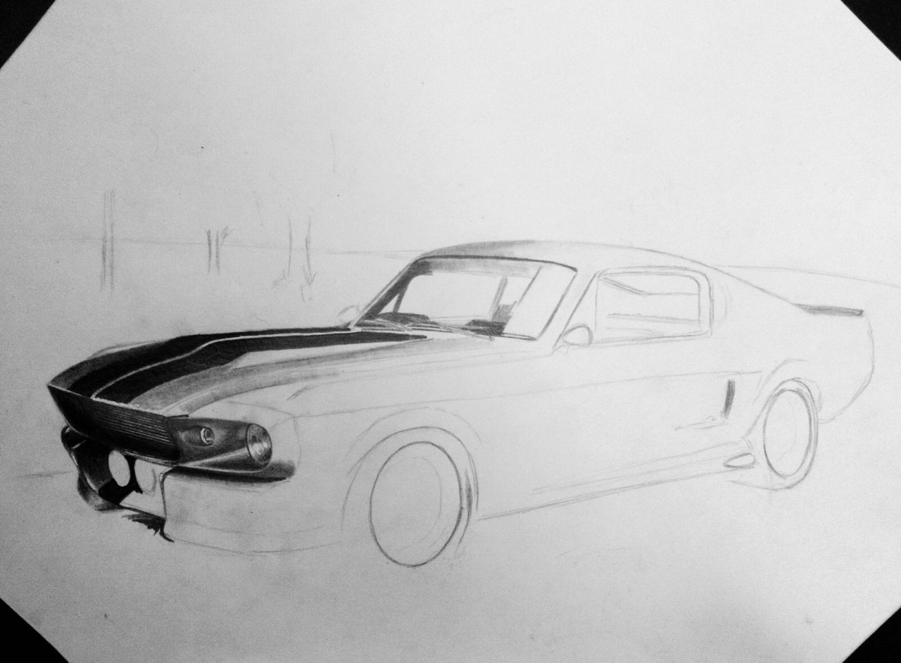 shelby mustang 1967 drawing