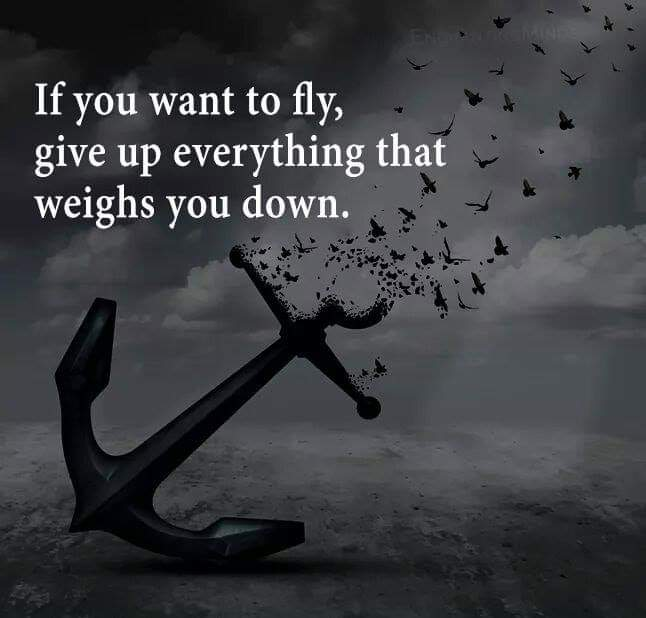 https://cdn.steemitimages.com/DQmRchMA6ro6NLSVGZ3PWMNk1RBVQyNXeyDuA3qrGdsDdWV/image.png